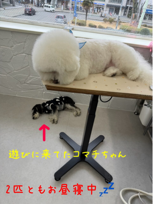 画像571