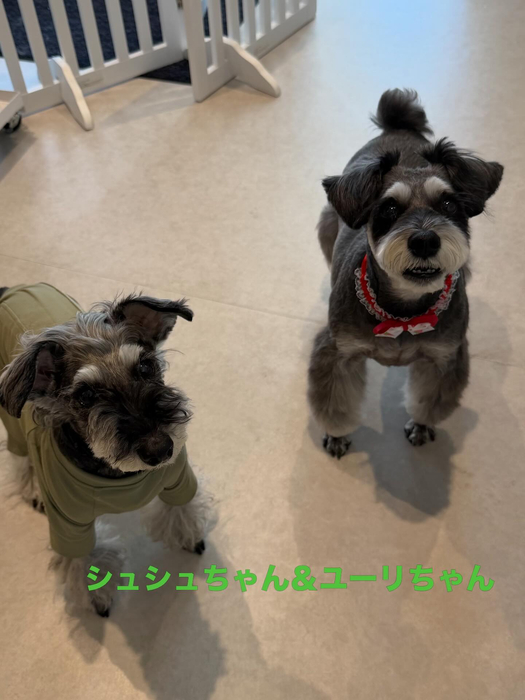 画像583