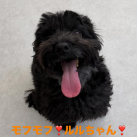 画像587