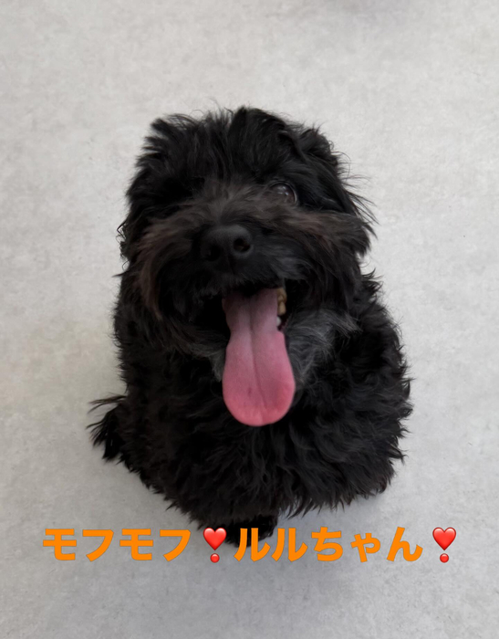 画像587