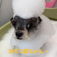 画像591