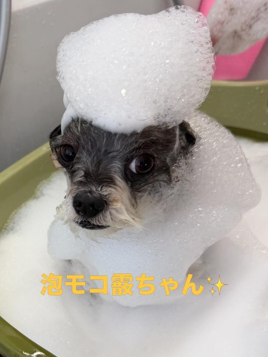 画像591