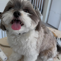 画像592