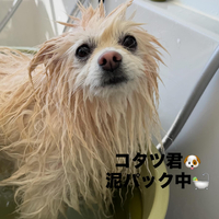 画像596