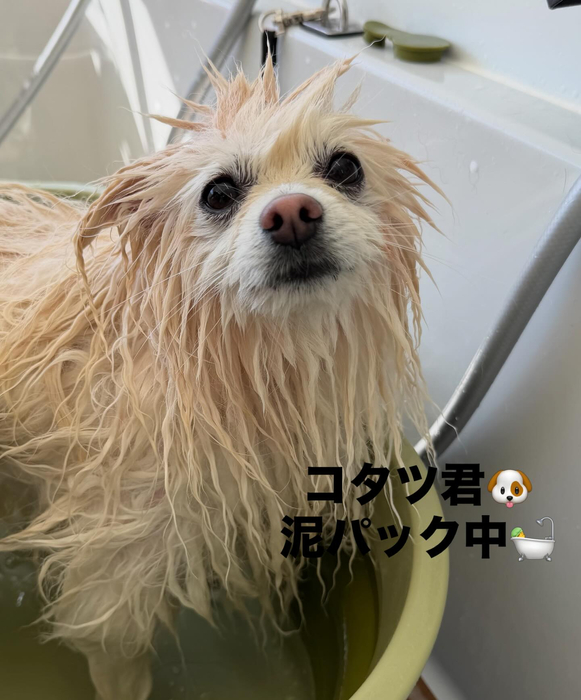 画像596
