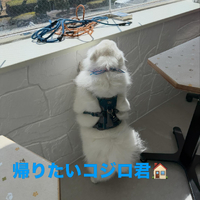 画像599