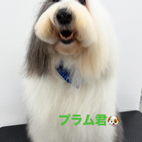 画像602