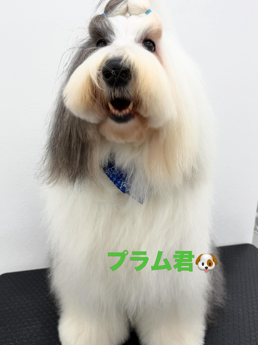 画像602