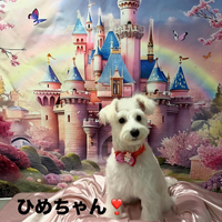画像614