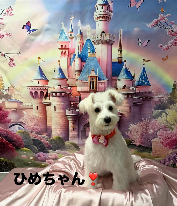 画像614