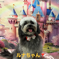 画像627