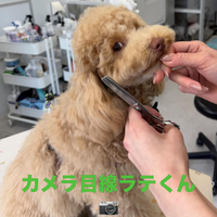 画像651