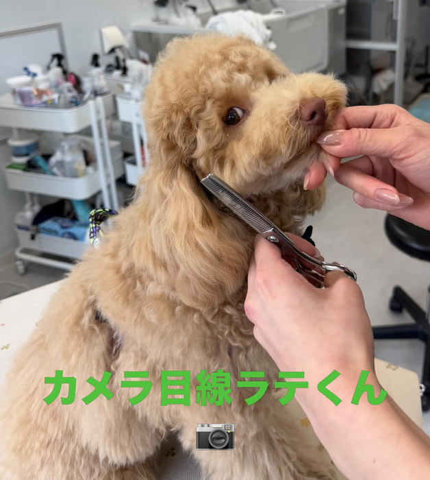 画像651