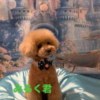画像655