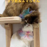 画像659