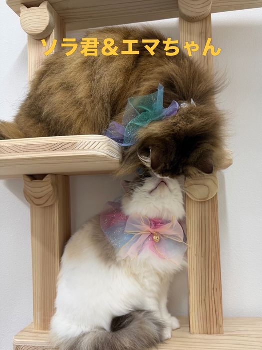 画像659