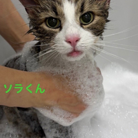 画像660