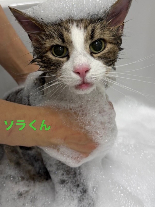 画像660