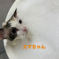 画像661