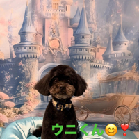 画像678