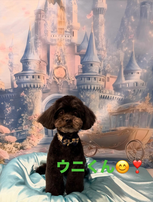 画像678