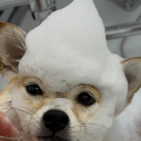 画像691