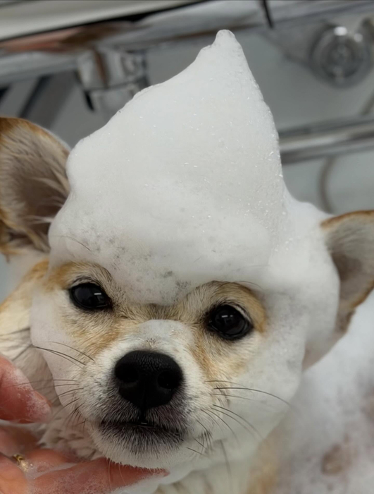 画像691