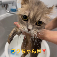 画像693