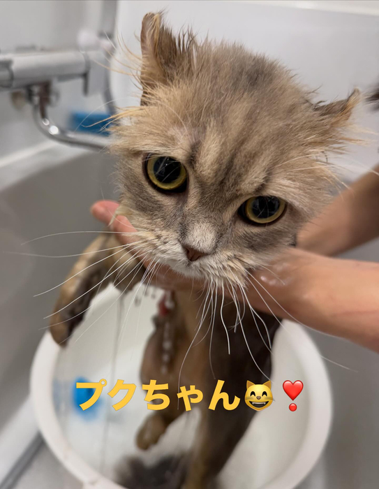 画像693