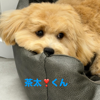 画像709