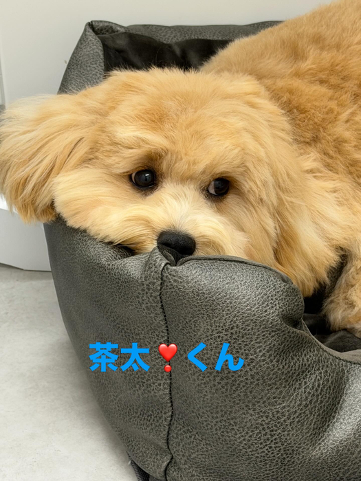画像709