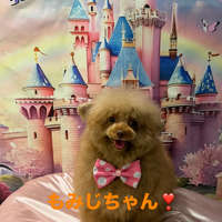 画像715