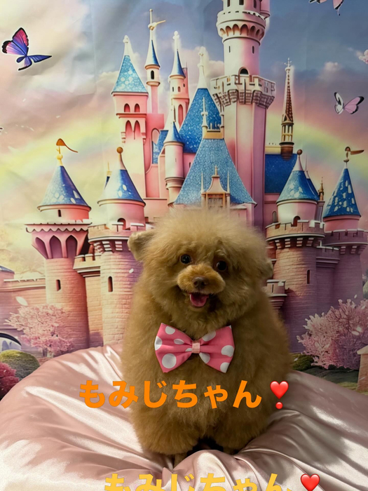 画像715