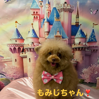 画像719