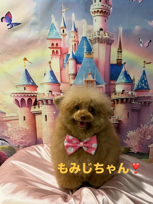 画像719