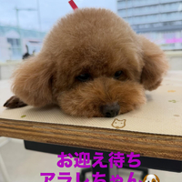 画像736