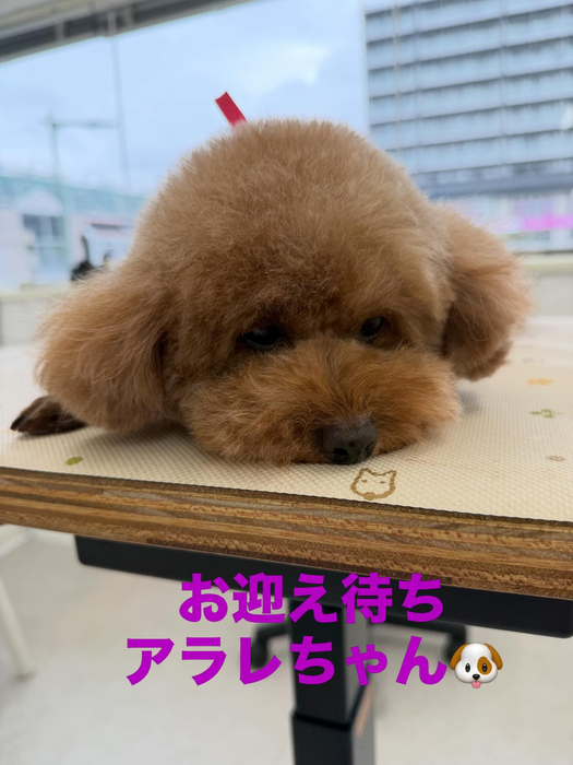 画像736
