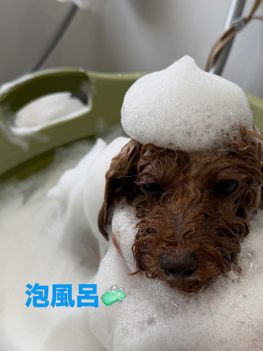 画像739
