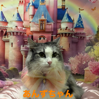画像789