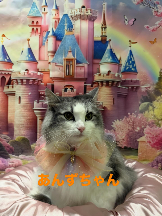 画像789
