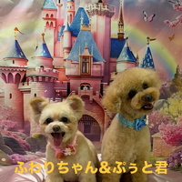画像805