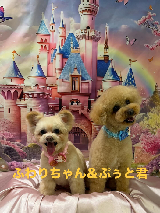 画像805