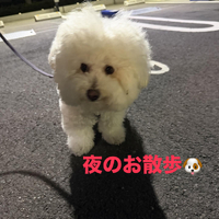 画像811