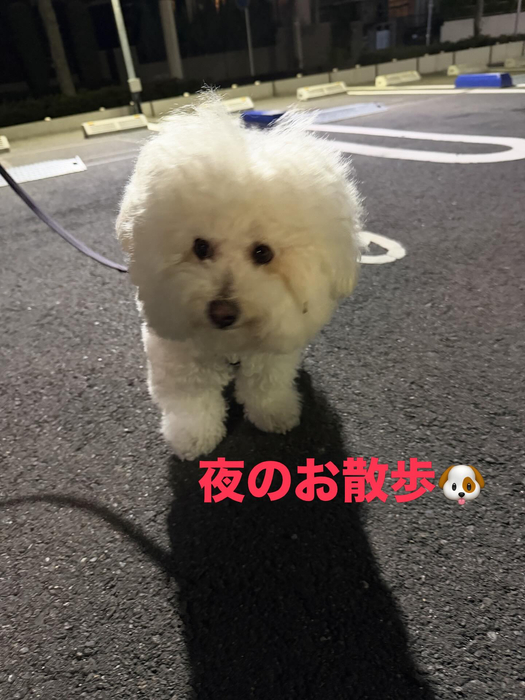 画像811