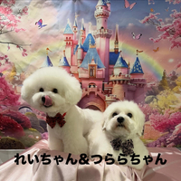 画像818