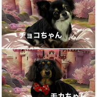 画像822
