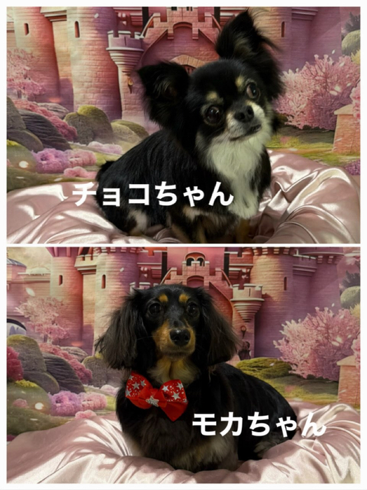 画像822