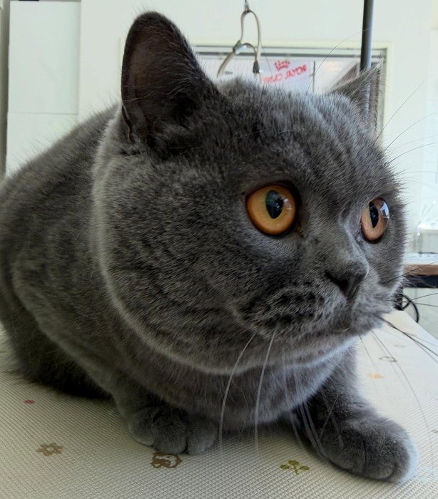 画像874