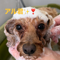 画像923