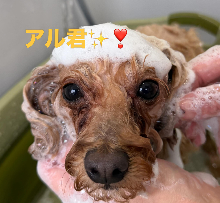 画像923